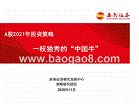 A股2021年投资策略：一枝独秀的“中国牛”.pptx