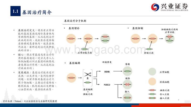 基因治疗行业深度研究报告（上）：我国基因治疗行业方兴未艾，多适应症治疗显示潜力.pdf_第4页