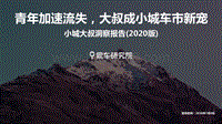 2020版小城大叔洞察报告：青年加速流失，大叔成小城车市新宠.pdf