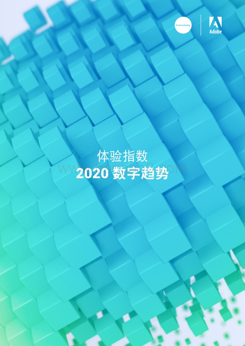 2020数字趋势：体验指数.pdf_第1页