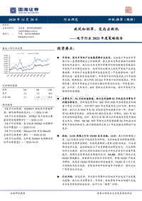 电子行业2021年度策略报告：疾风知劲草，变局出新机.pdf