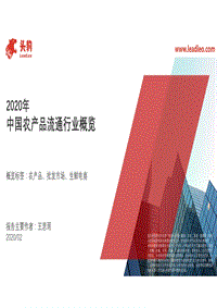 2020年中国农产品流通行业概览.pdf