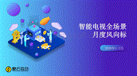 2020年1-2月智能电视全场景月度风向标.pdf