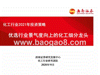 化工行业2021年投资策略：优选行业景气度向上的化工细分龙头.pptx