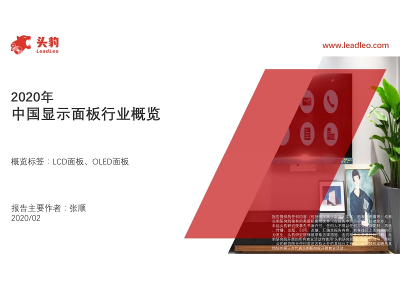 2020年中国显示面板行业概览.pdf_第1页