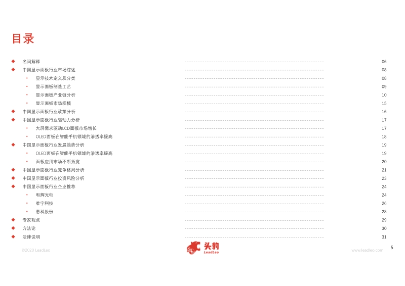 2020年中国显示面板行业概览.pdf_第5页