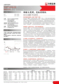 银行业2021年度策略：柳暗又花明，危机促转机.pdf