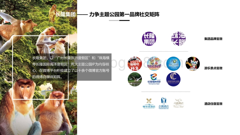 长隆集团旗下账号矩阵微博社交运营分析.pdf_第4页