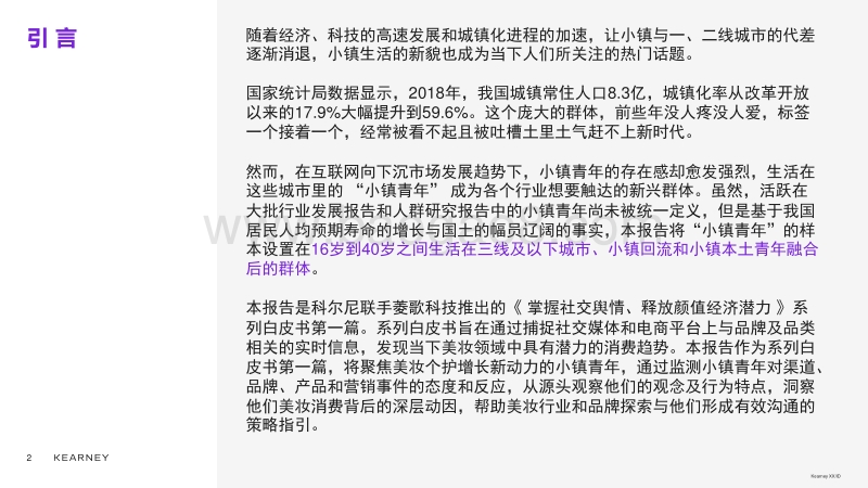 小镇青年（下沉市场）美妆人群细分洞察报告.pdf_第2页