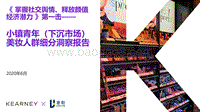 小镇青年（下沉市场）美妆人群细分洞察报告.pdf