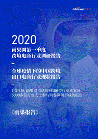 2020第一季度跨境电商行业调研报告.pdf