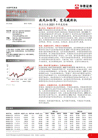 轻工行业2021年年度策略：疾风知劲草，变局藏新机.pdf
