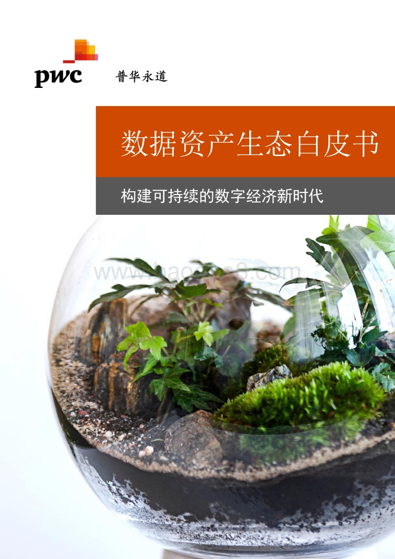 数据资产生态白皮书：构建可持续的数字经济新时代.pdf_第1页