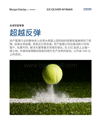 全球财富管理：超越反弹.pdf