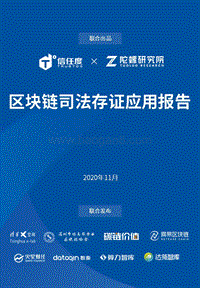区块链司法存证应用报告.pdf