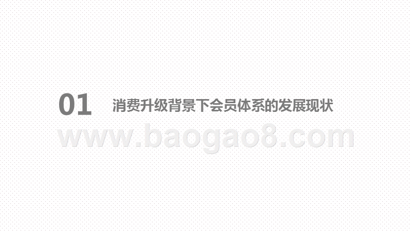 2020-2021消费升级背景下会员体系发展模式研究报告.pptx_第3页