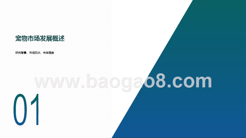 2020-2021运营商拓展家庭第三人市场研究报告.pptx_第3页