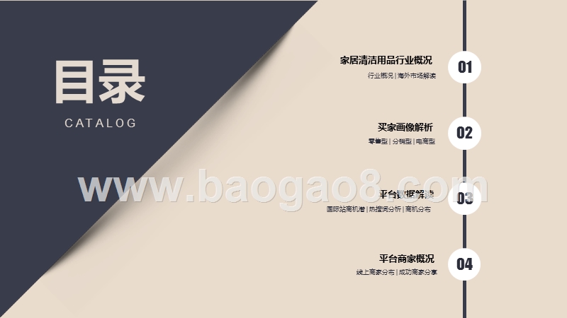 2020-2021家居清洁用品行业平台数据解读报告.pptx_第2页