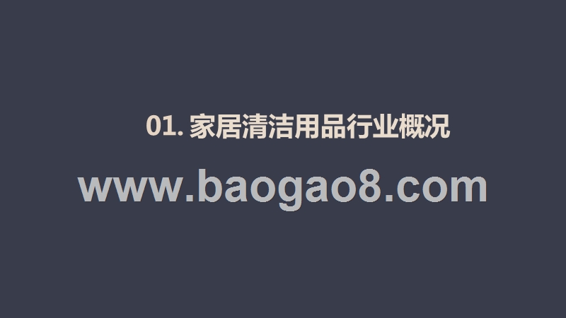 2020-2021家居清洁用品行业平台数据解读报告.pptx_第3页