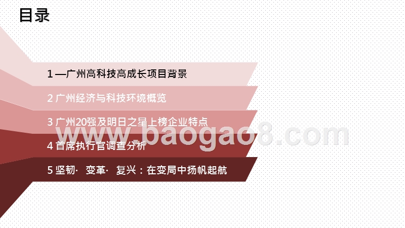 2020-2021广州高科技高成长20强分析报告.pptx_第2页