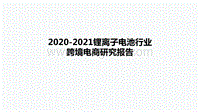 2020-2021锂离子电池行业跨境电商研究报告.pdf