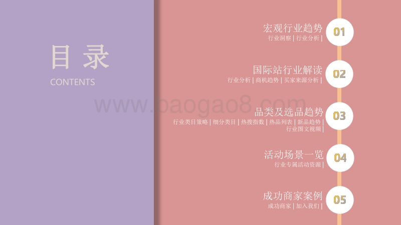 2020-2021消费电子配件行业跨境电商研究报告.pdf_第2页
