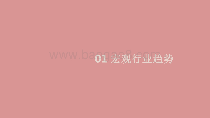 2020-2021消费电子配件行业跨境电商研究报告.pdf_第3页