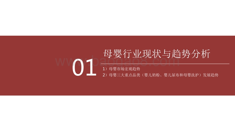 2020-2021母婴消费洞察分析报告.pdf_第2页