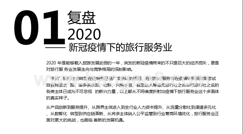 2020-2021中国旅行服务业发展研究报告.pptx_第2页