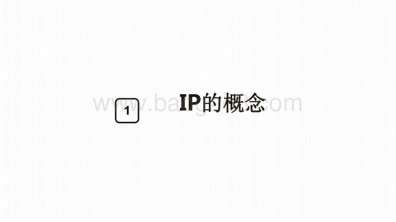 2020-2021品牌IP营销解决方案.pdf_第3页