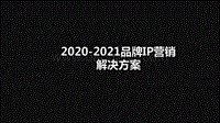 2020-2021品牌IP营销解决方案.pdf
