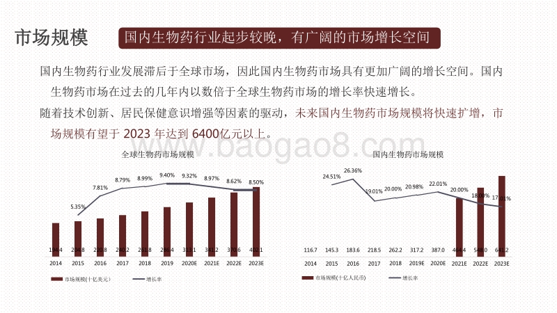 2020-2021中国生物医药行业研究报告.pdf_第4页