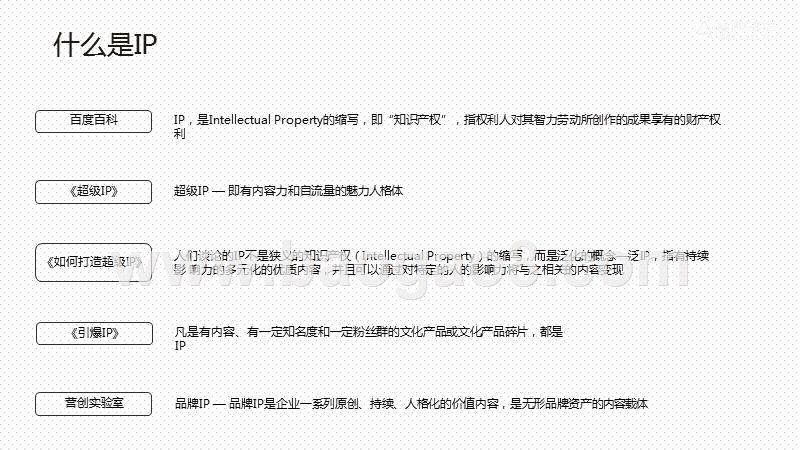 2020-2021品牌IP营销解决方案.pptx_第4页