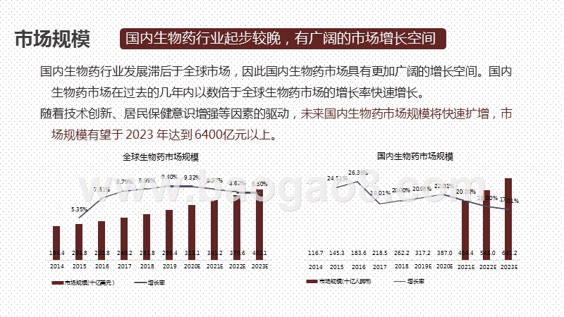 2020-2021中国生物医药行业研究报告.pptx_第4页