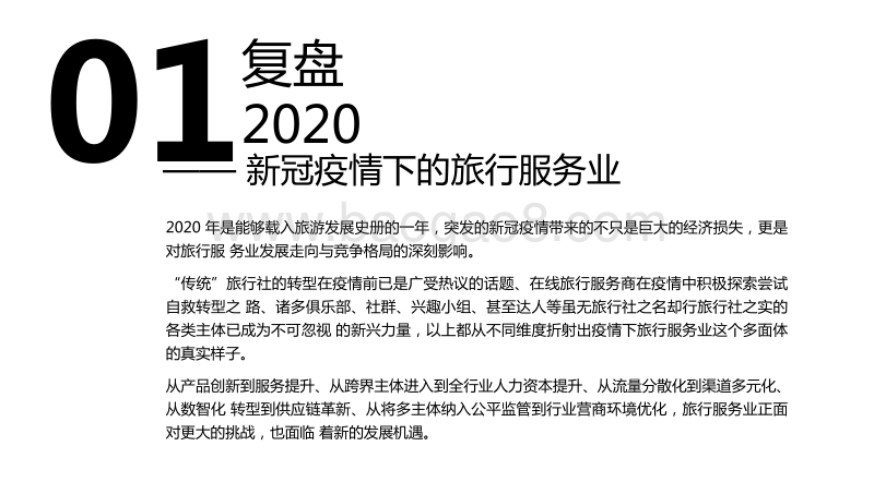 2020-2021中国旅行服务业发展研究报告.pdf_第2页