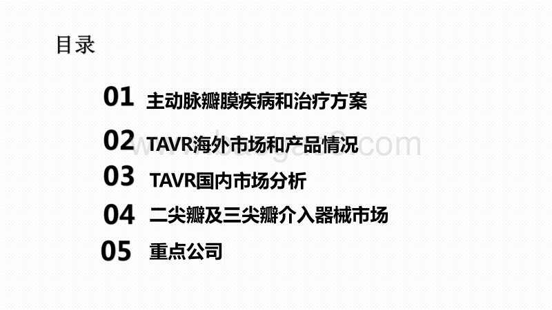 2020心脏瓣膜市场发展现状及前景研究报告.pdf_第2页