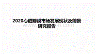 2020心脏瓣膜市场发展现状及前景研究报告.pdf