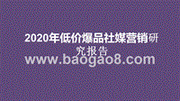2020年低价爆品社媒营销研究报告.pptx