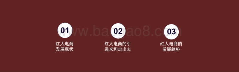 2020-2021红人电商研究报告.pdf_第2页
