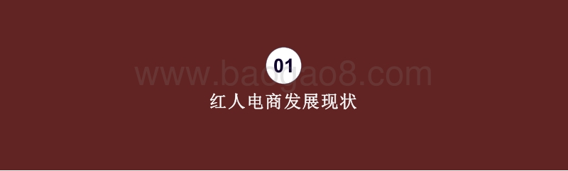 2020-2021红人电商研究报告.pdf_第3页