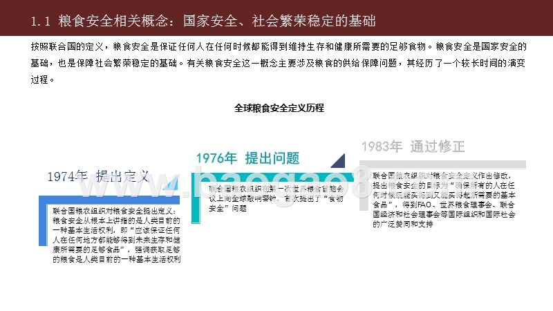 2020-2021中国粮食供需安全研究报告.pptx_第4页