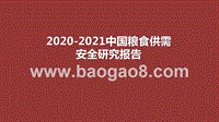 2020-2021中国粮食供需安全研究报告.pptx