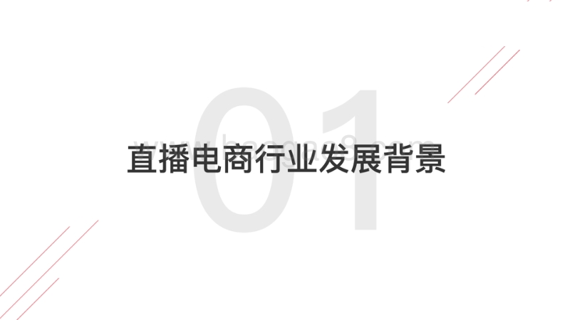 2020直播电商研究报告.pdf_第5页