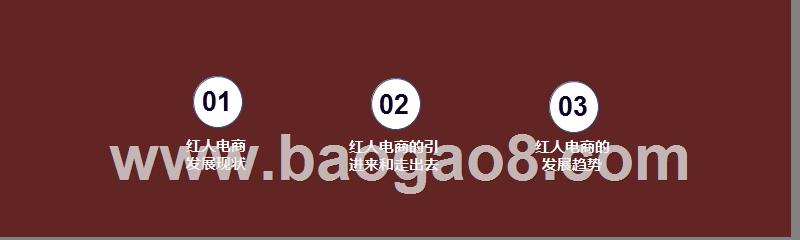 2020-2021红人电商研究报告.pptx_第2页