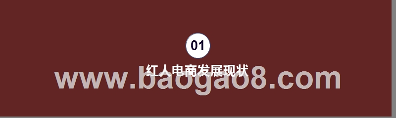 2020-2021红人电商研究报告.pptx_第3页