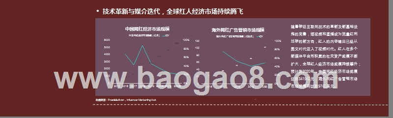 2020-2021红人电商研究报告.pptx_第4页