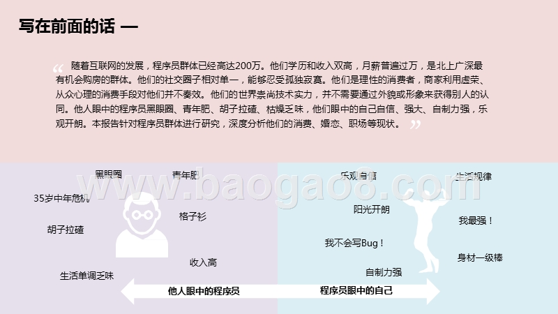 2020-2021程序员人群洞察报告.pptx_第2页