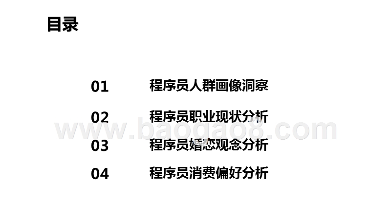 2020-2021程序员人群洞察报告.pptx_第3页