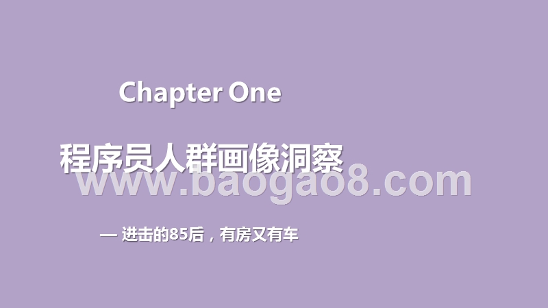 2020-2021程序员人群洞察报告.pptx_第4页