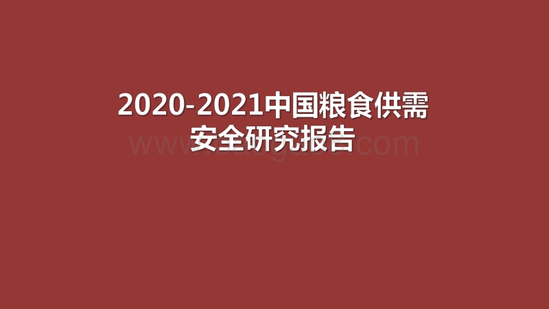 2020-2021中国粮食供需安全研究报告.pdf_第1页